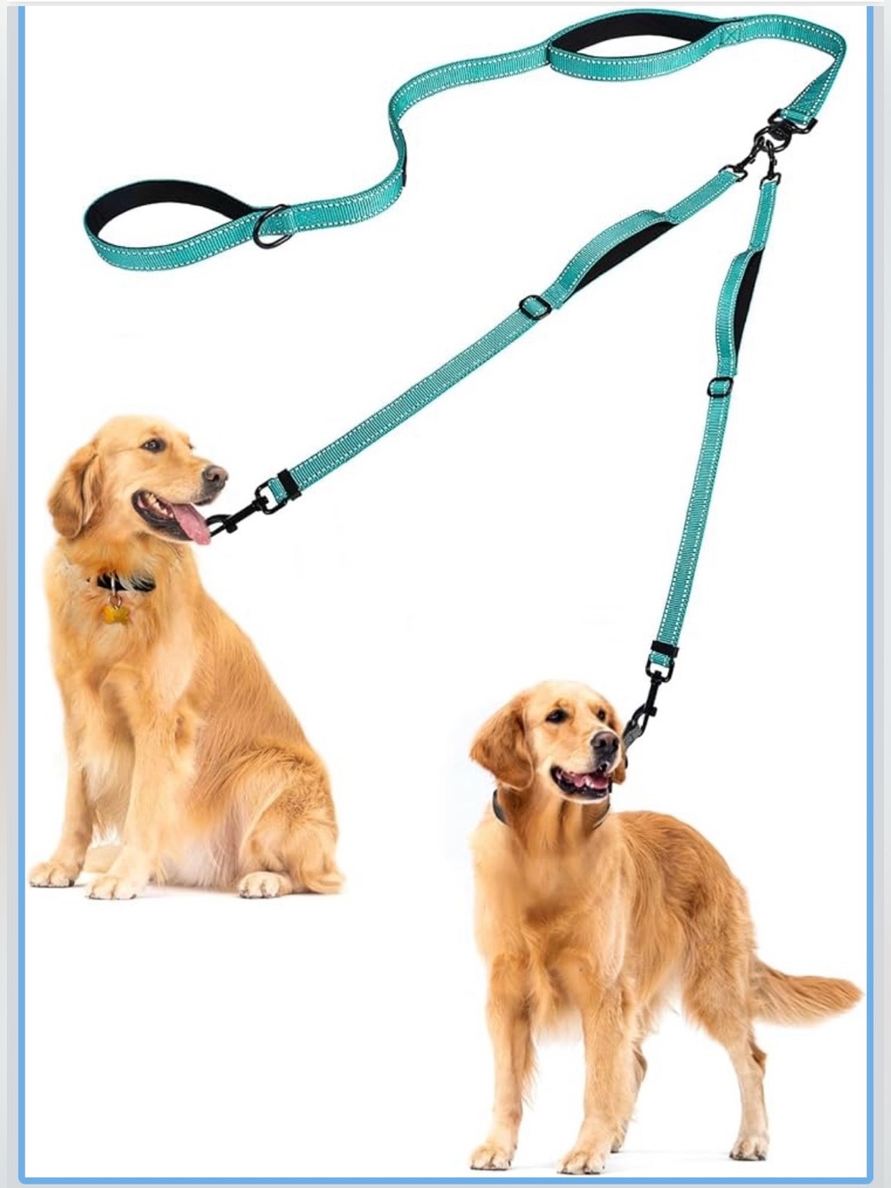 PetBonus Double Dog Leash, No Tangle Dual Leash, Walking Training Lead
4 Comfort
